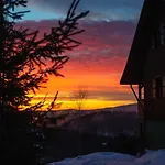 Kocurzonka *