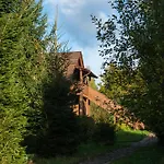 Kocurzonka
