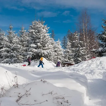 Kocurzonka Domek letniskowy *