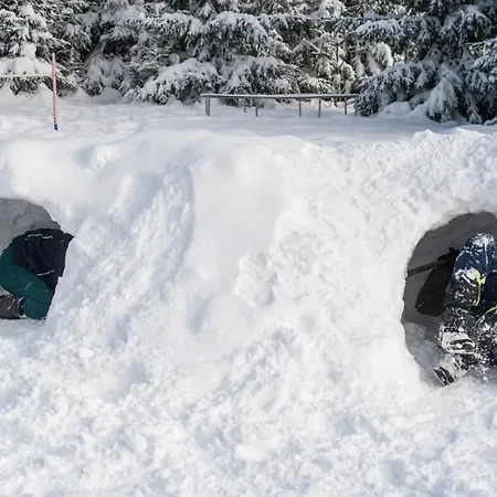 Kocurzonka Domek letniskowy