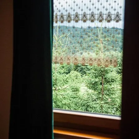 Kocurzonka 山林小屋