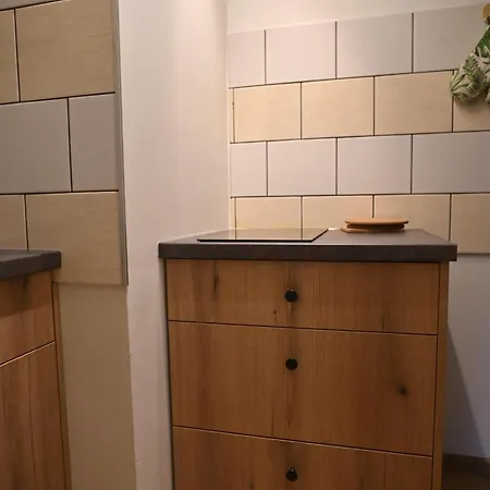 Kocurzonka Domek letniskowy *