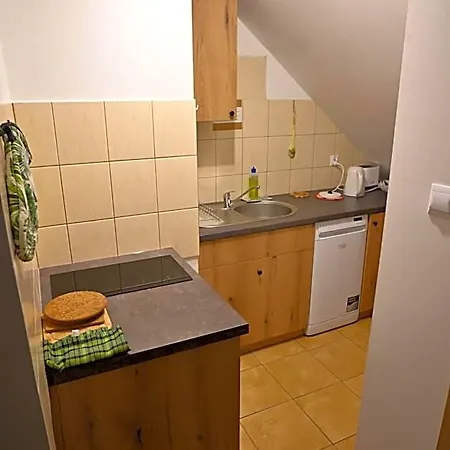 Kocurzonka *