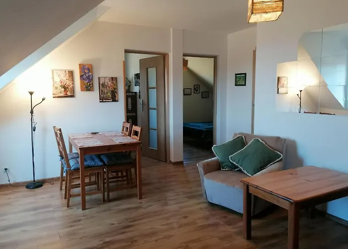 Kocurzonka Jaworzynka